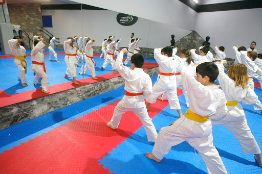 Escuela de Karate Fitness Gasteiz